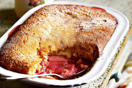 Rhubarb sponge pudding